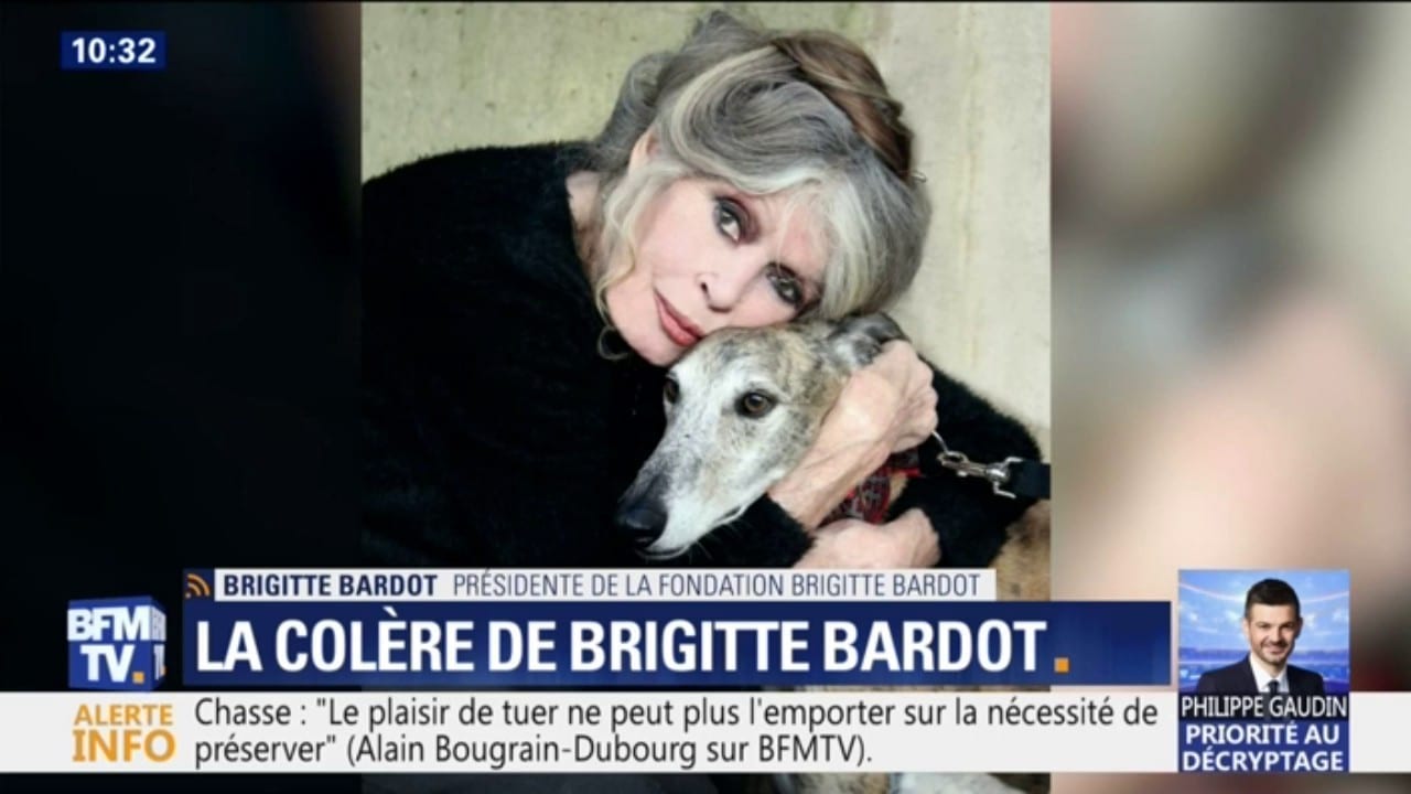 Toutes les coordonnées pour contacter Brigitte Bardot  Contacter BRIGITTE BARDOT | Écrire à #BrigitteBardot