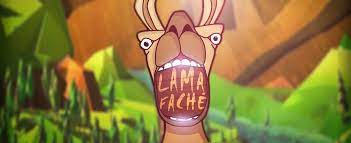 Contacter Lama Fâché