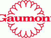 Contacter les studios de cinéma Gaumont : adresse e-mail, courrier, numéros de téléphone 