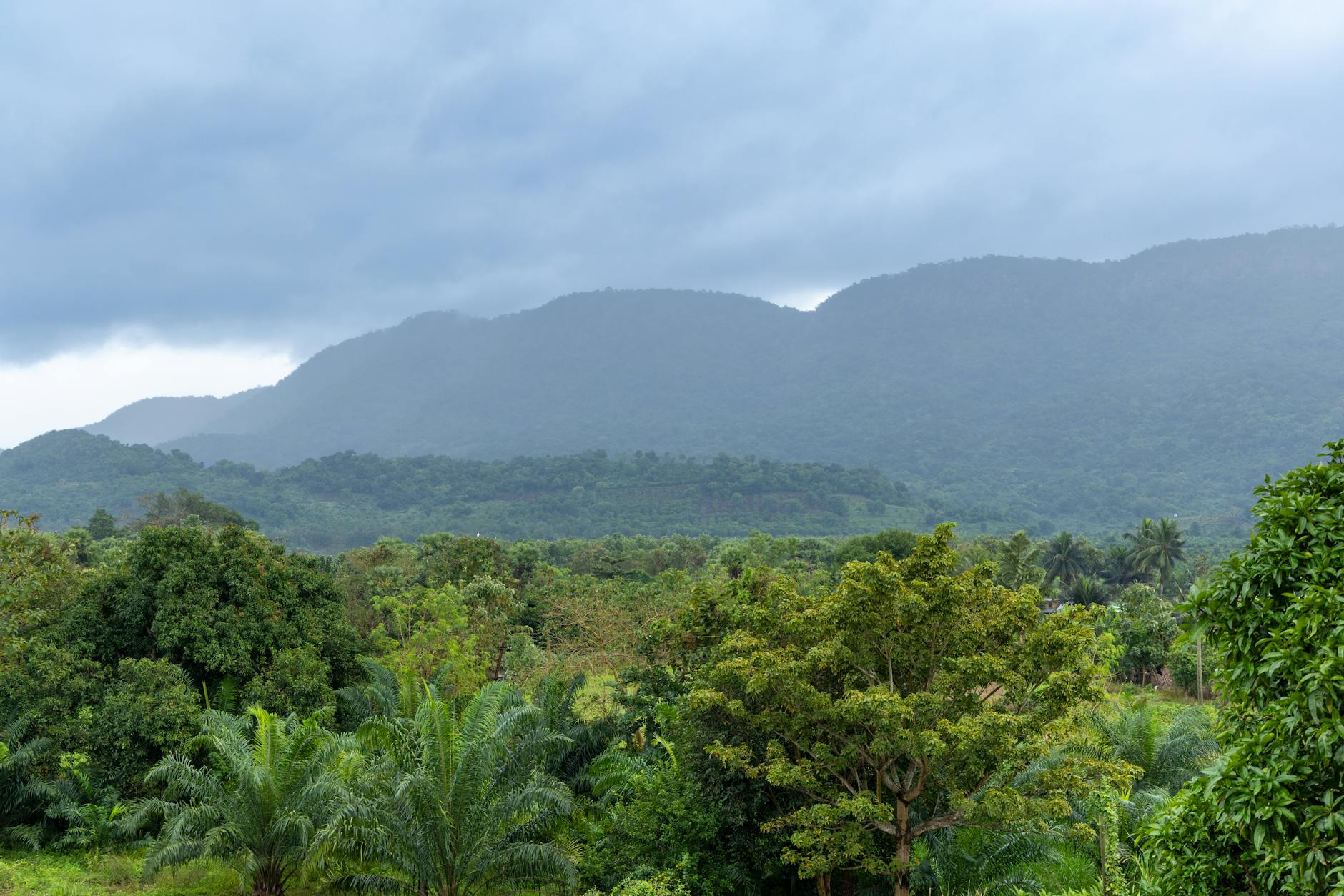 Vous rêvez de tester vos limites en pleine nature et de participer à l'émission "Retour à l'instinct primaire" ? Attention, les inscriptions sont uniquement valables pour la version américaine Naked and Afraid, diffusée sur Discovery Channel. Découvrez ici toutes les informations essentielles pour postuler.