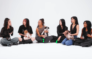 KATSEYE, contacter KATSEYE, fan mail K-pop, HYBE America, Geffen Records